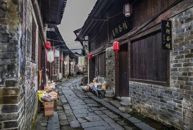 2024年全市“三农”大讲堂开讲